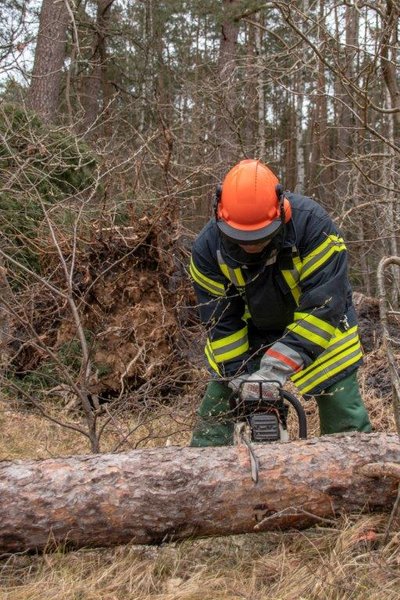 Kettensäge im Einsatz