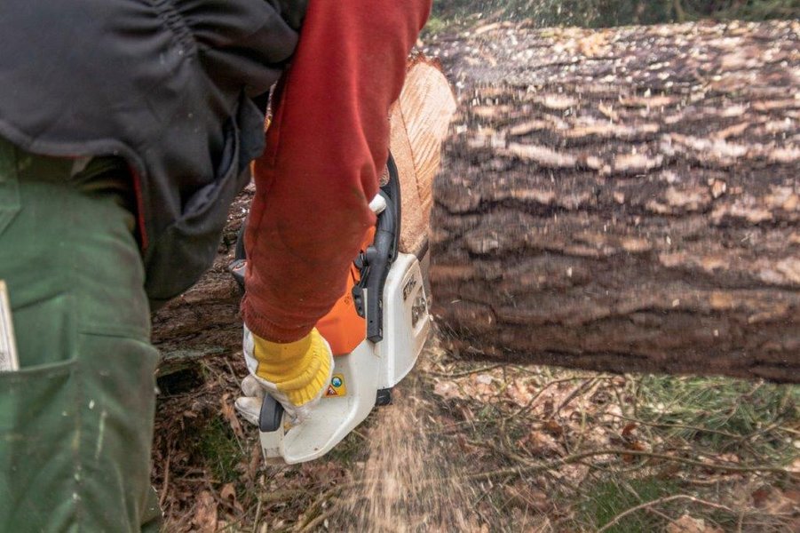 Kettensäge im Einsatz