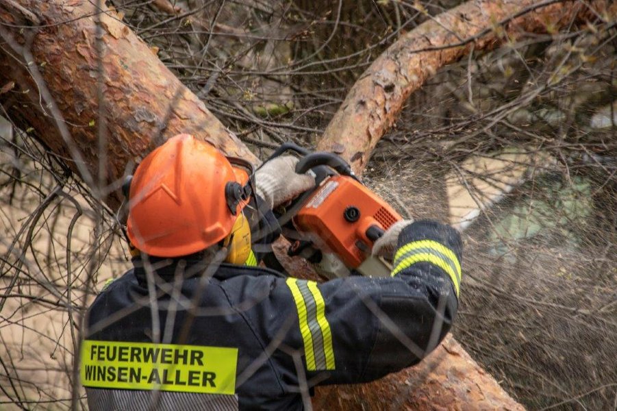 Kettensäge im Einsatz