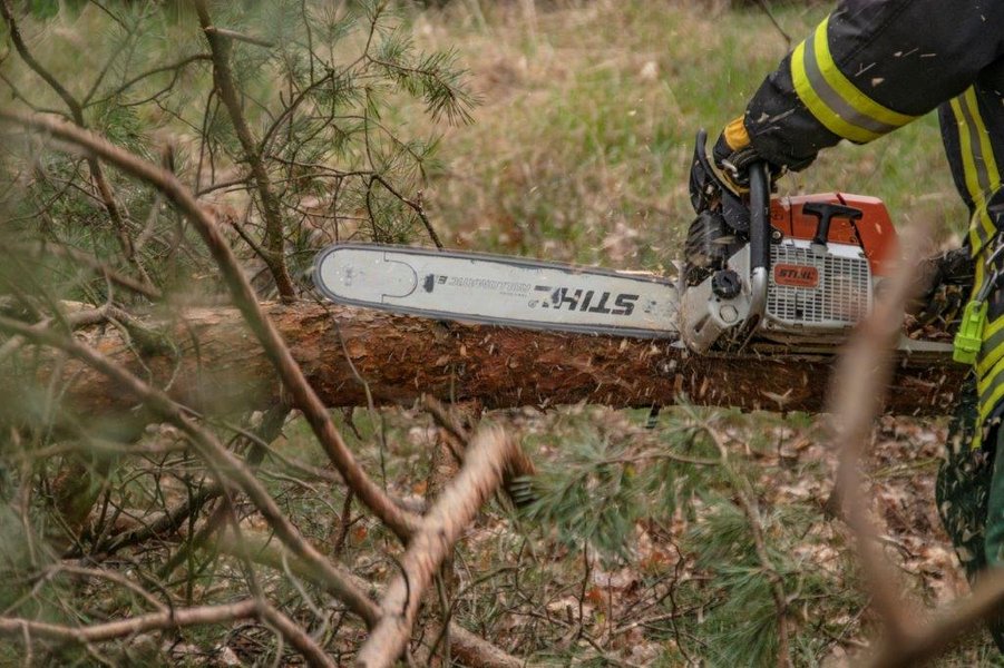 Kettensäge im Einsatz