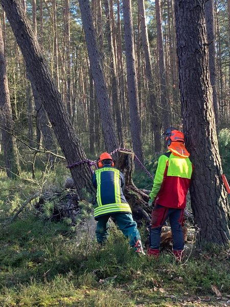 Feuerwehrkamerad wird beim Baum sägen angeleitet