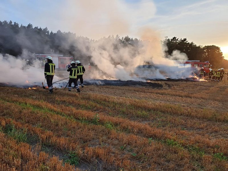 Rauchentwicklung beim Feldbrand
