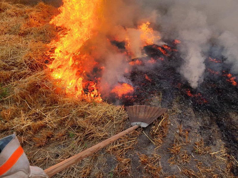 Löschen mir Feuerpatsche