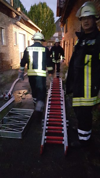 Leiter wird gebracht