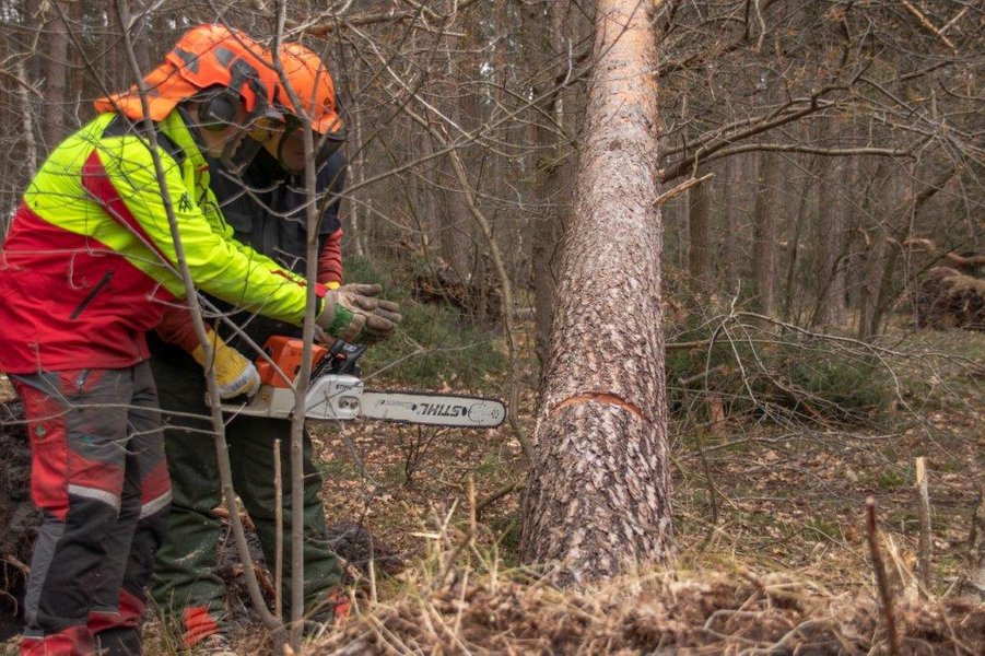 Kettensäge im Einsatz
