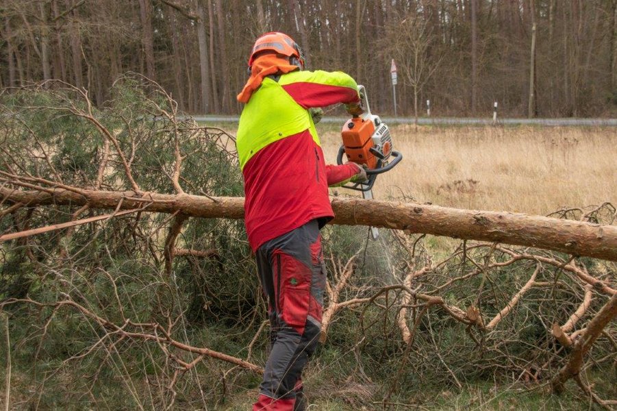 Kettensäge im Einsatz