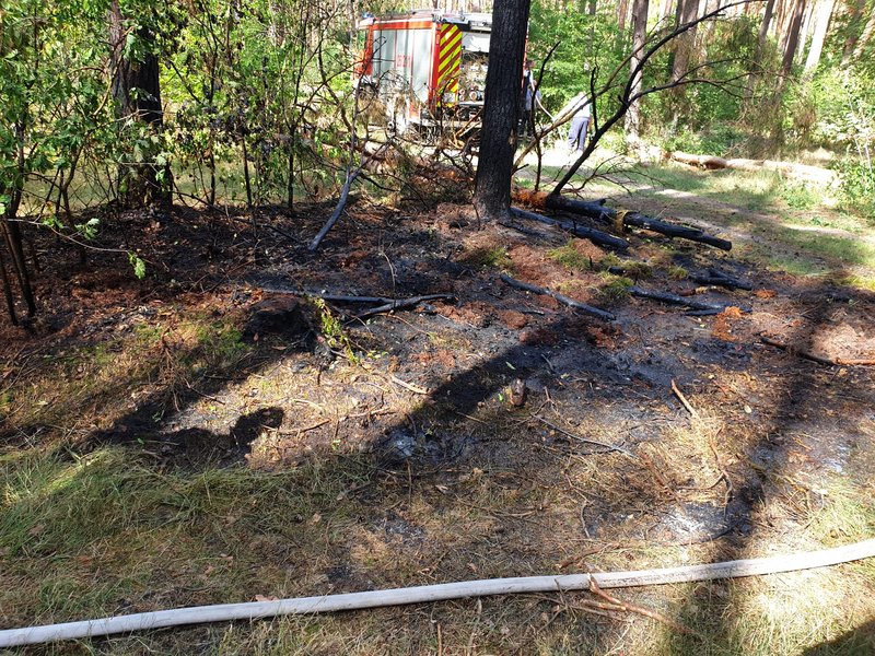 abgelöschter Vegetationsbrand