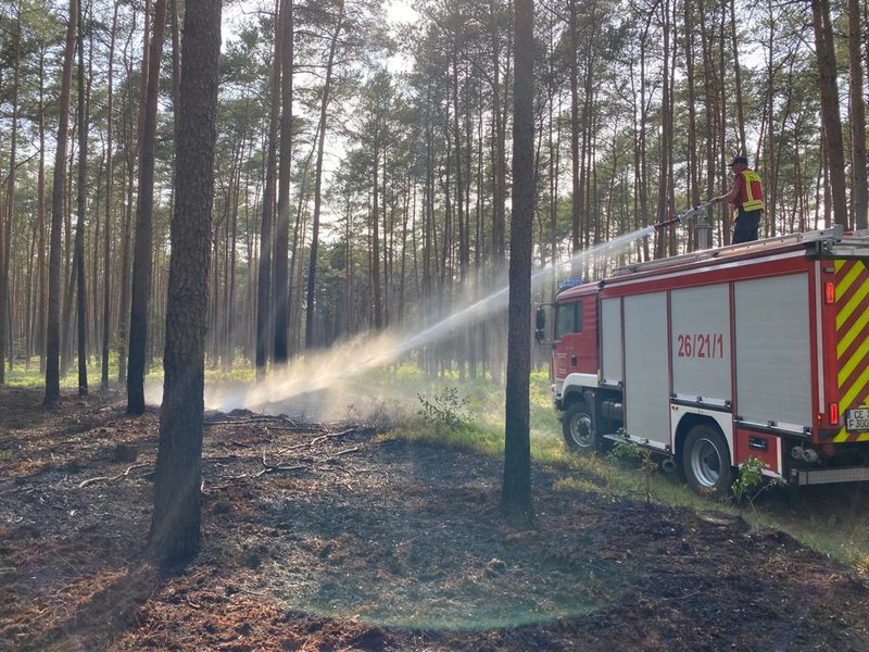 Tanklöschfahrzeug löscht Waldboden