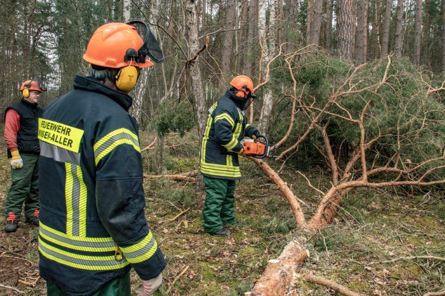 Kettensäge im Einsatz