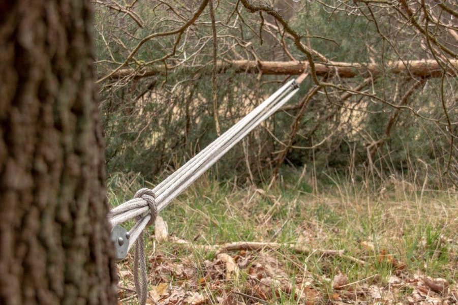 Baum mit Seilzug gesichert