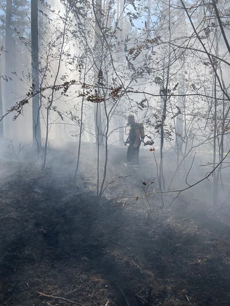 Starke Verrauchung beim Waldbrand