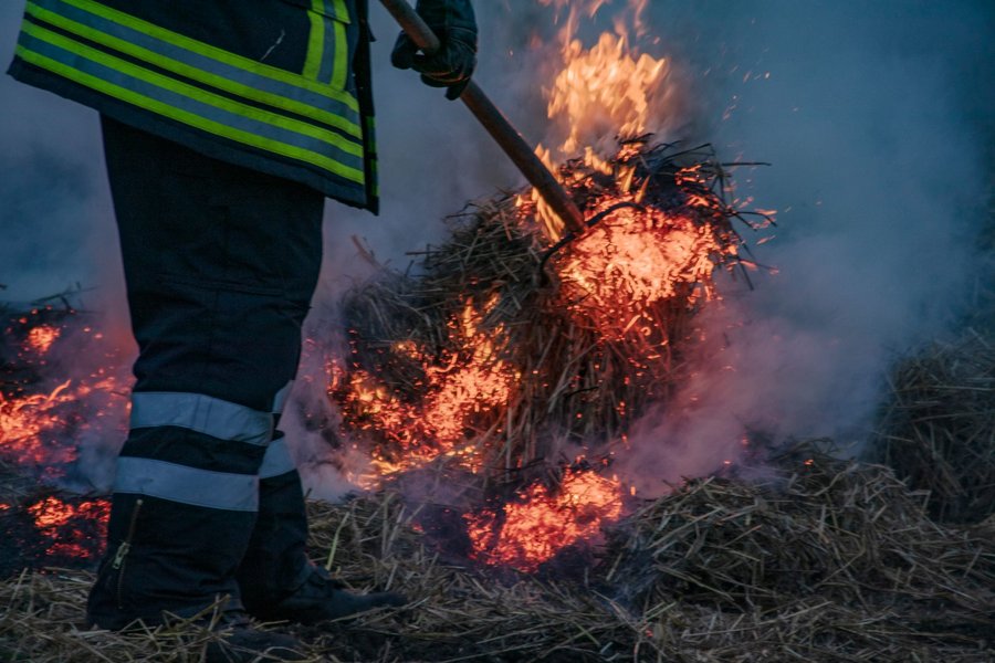 Das Feuer wird angefacht