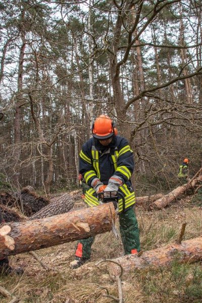 Kettensäge im Einsatz