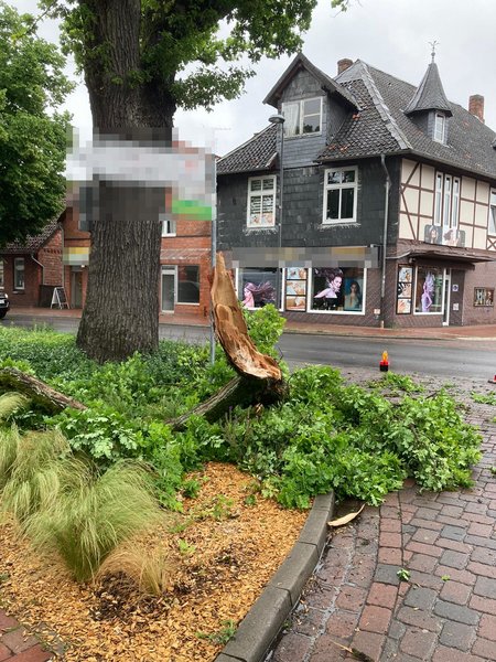 Einsatzstelle, abgebrochener Ast