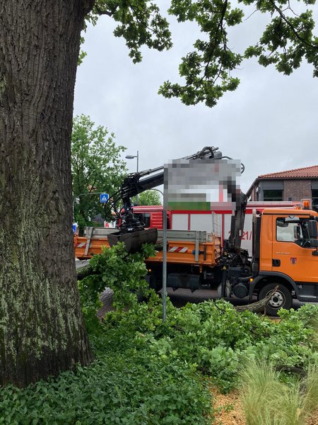 Bauhof lädt Ast auf 