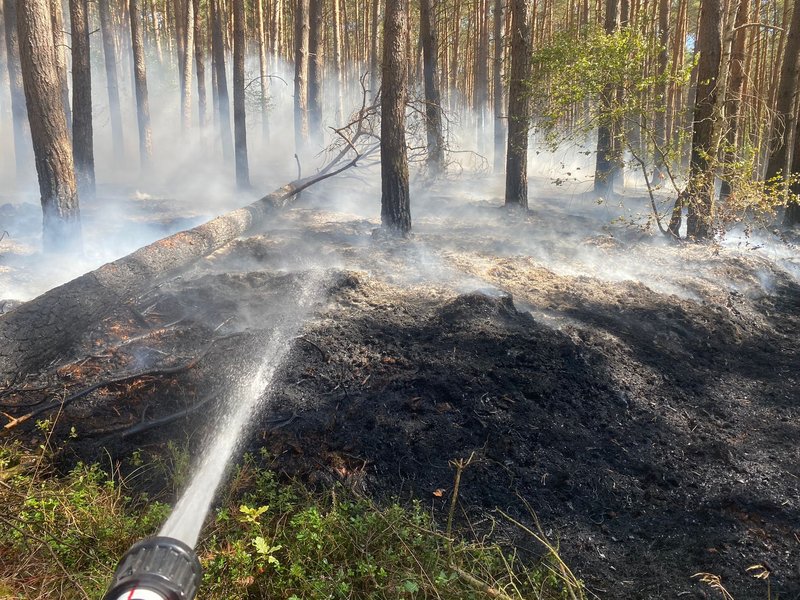 Löscharbeiten beim Waldbrand