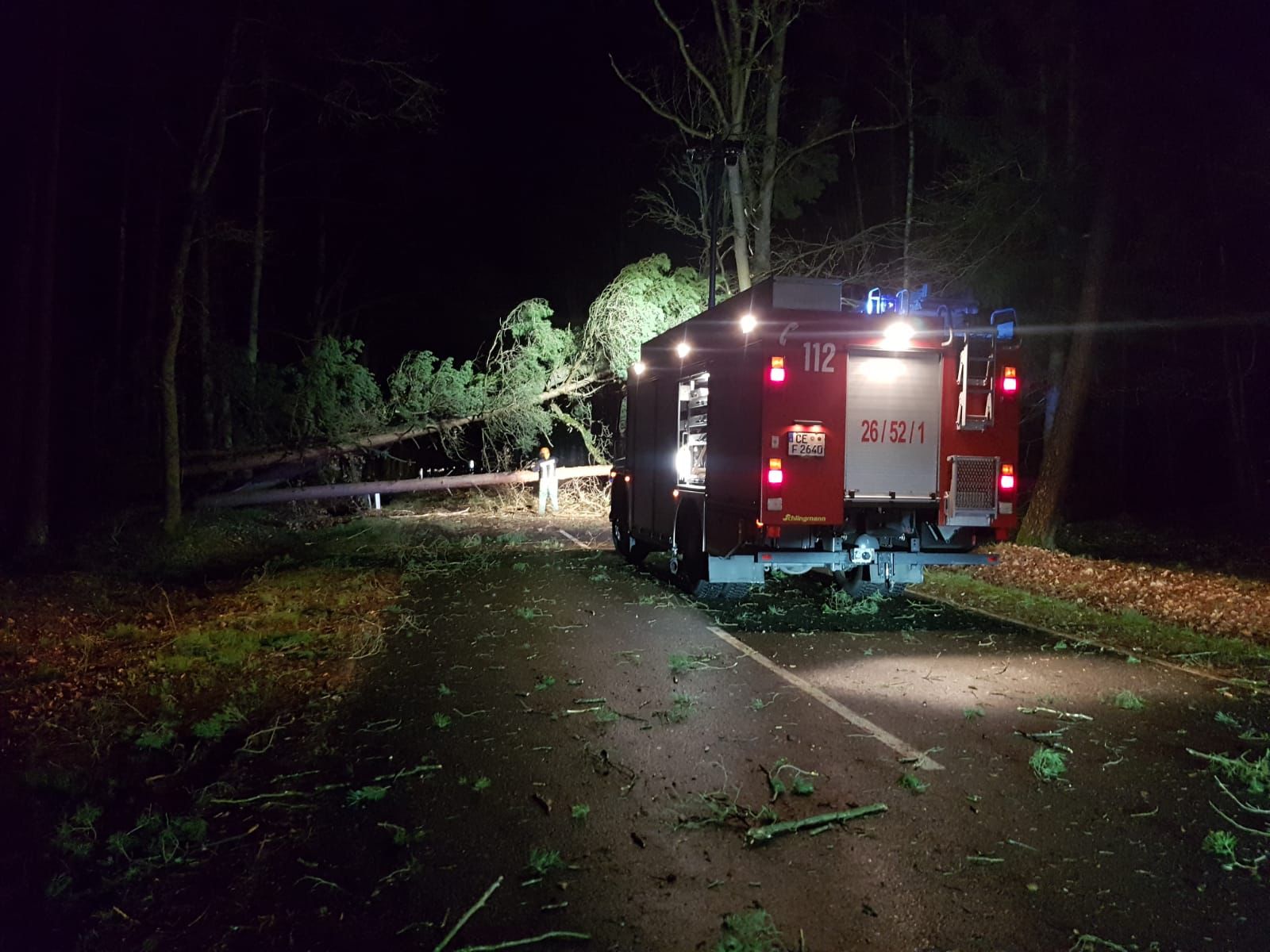 Baum auf Fahrbahn