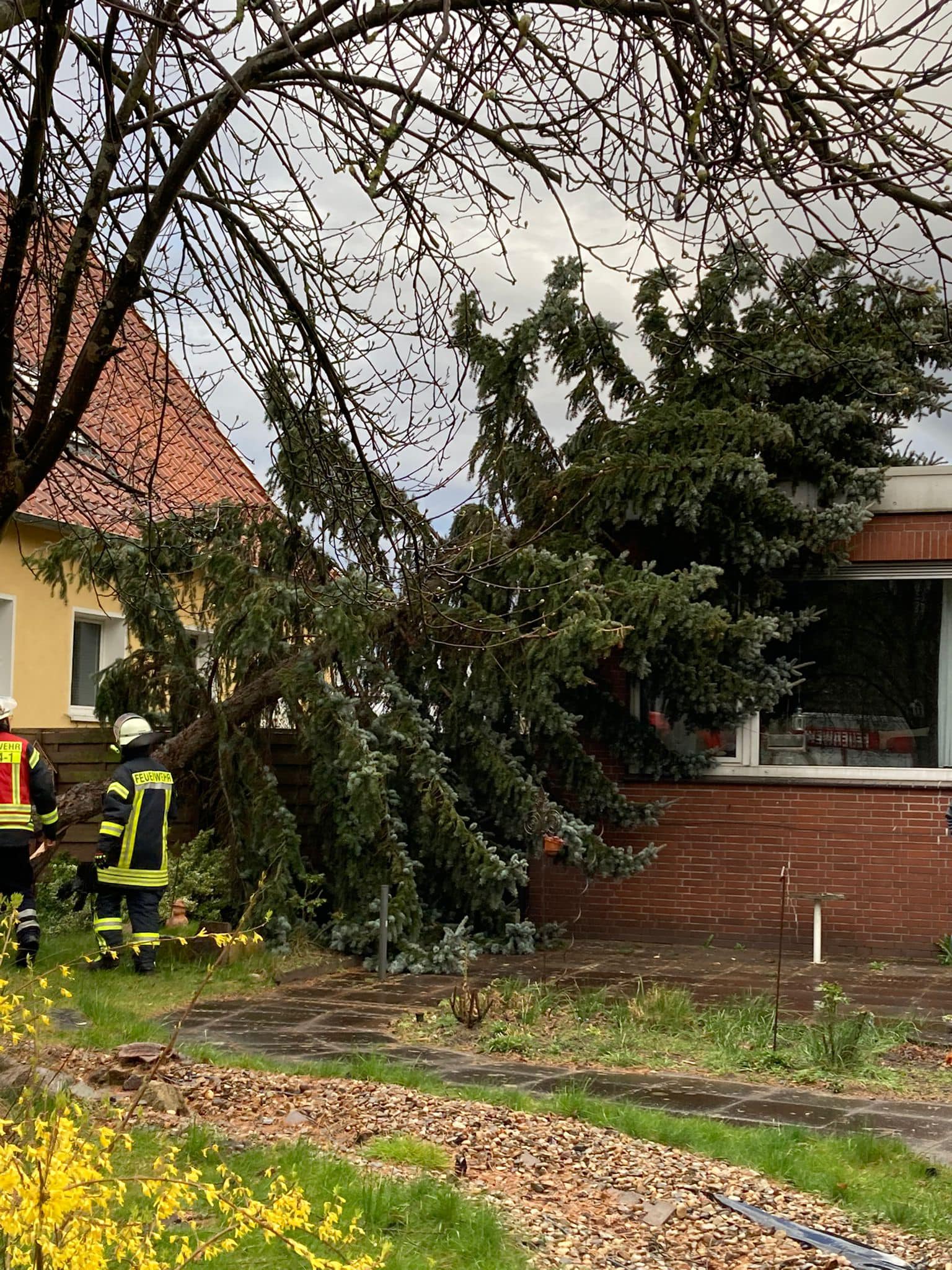 Baum lehnt an Haus