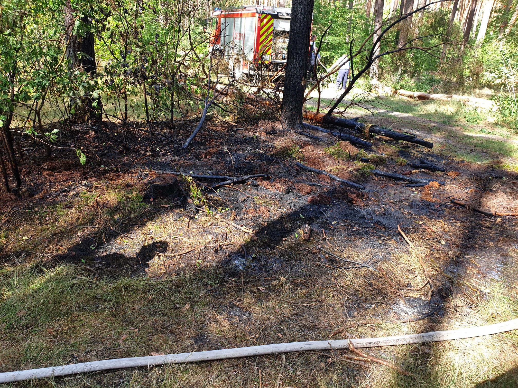 abgelöschter Vegetationsbrand