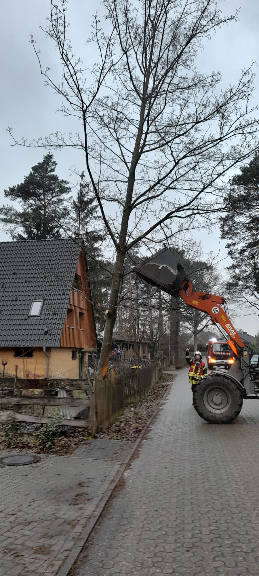 Baum steht schräg