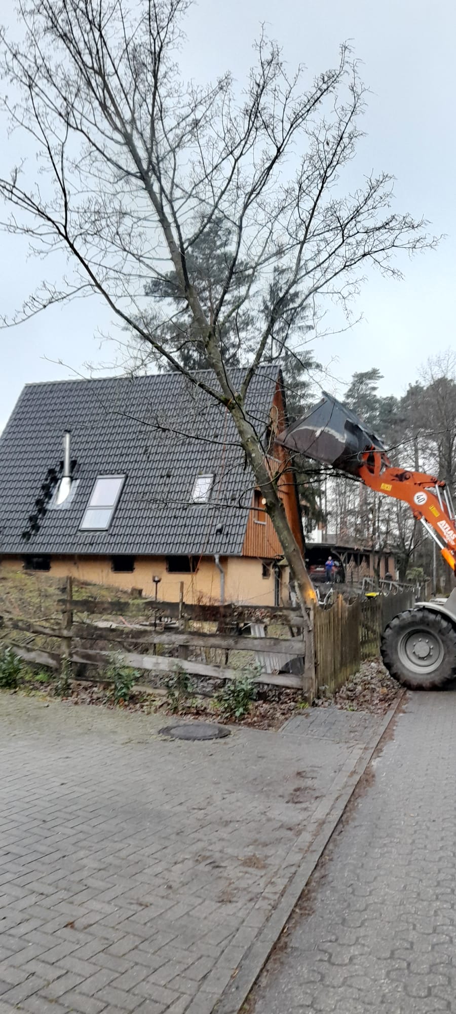 Baum steht schräg